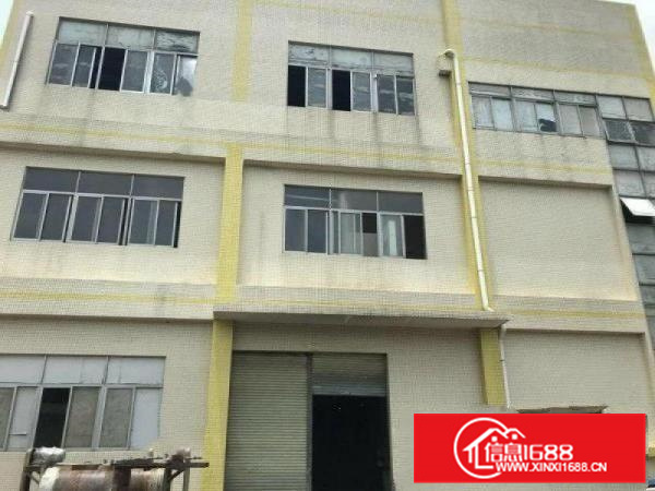 证照齐全，扁滘工业区1500方装修厂房，形象好