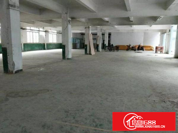 塔岗一楼800平米厂房出租，水电齐全
