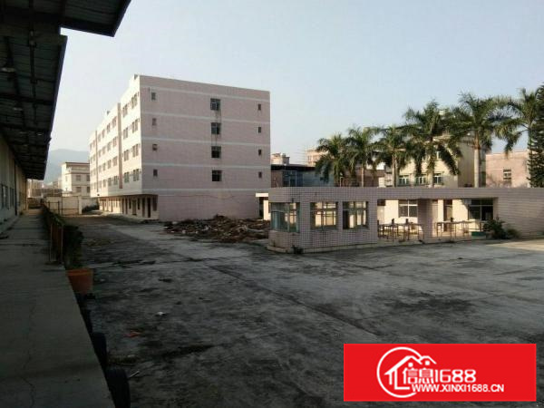 沥林工业区原房东独院标准厂房26600平方，高十米