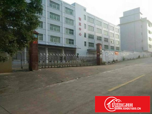 坪地标准独院厂房12000平方出租可分层租