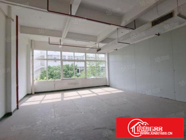 龙岗宝龙单层4500整栋18000平方米花园式厂房出租可分租