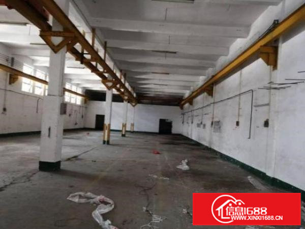 清溪浮岗村500平方一楼厂房出租现成行车空地大可噪音加工