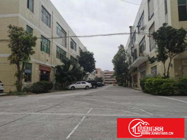 大布头1楼厂房2500平方租30一平