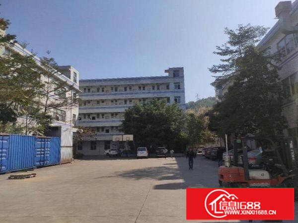 横岗四联新出原房东560平方精装修厂房仓库办公出租