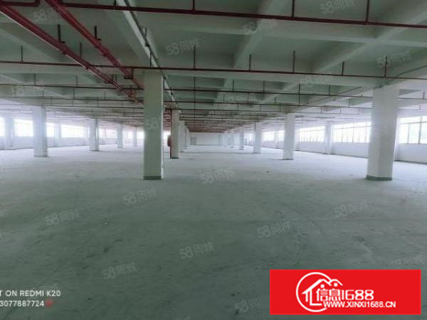浸校塘红本全新工业厂房(可以分租价格实惠)