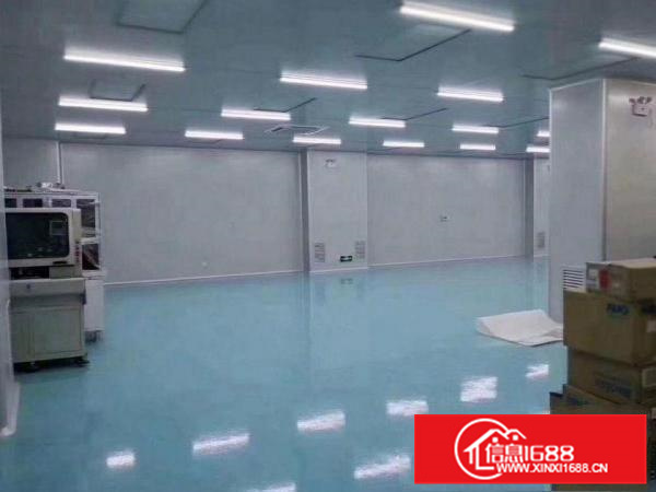 工业园800平带精装修标准厂房白菜价出租空地大