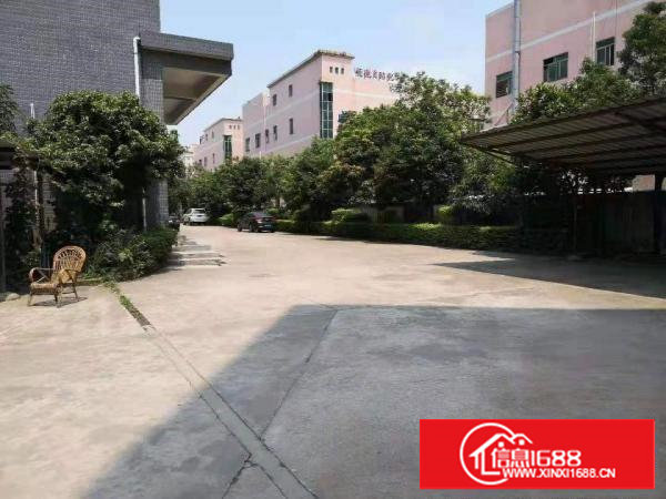 （出租）长安新民一楼1200平行车两台水电齐全精装修