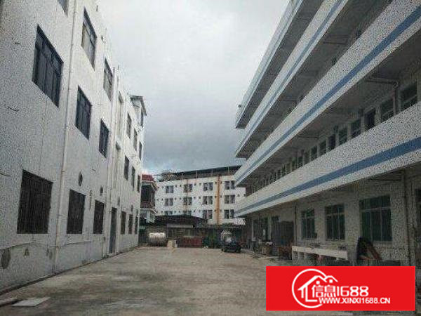 常平镇横江厦村新出小独院厂房3000平招租