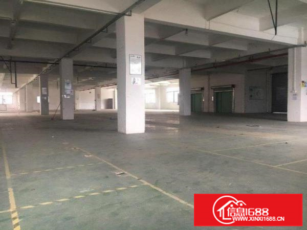 佛山一环近北滘标准厂房2500方可分租环评可过