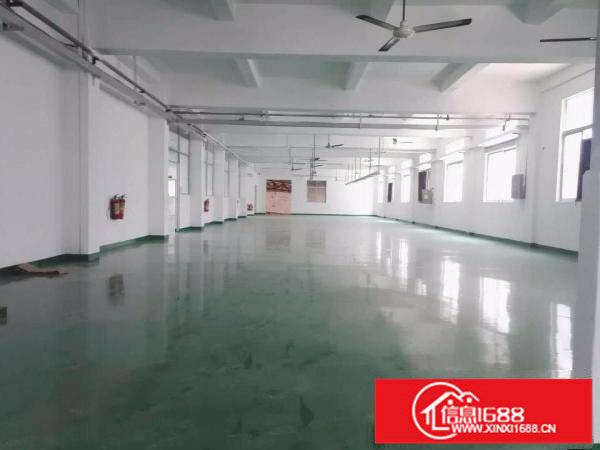 平湖罗山工业区新出经典小独院厂房2600平招租（可分租）