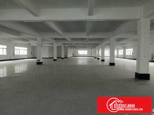 陈江新出3000平零公摊原房东厂房