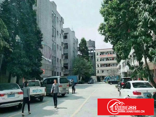 布吉秀峰路一楼1580平方厂房带装修出租