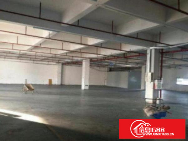 高埗标准厂房分租一楼1200平现成水电