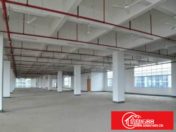 原房东标准独院，配2部电梯，大马路边，好招工