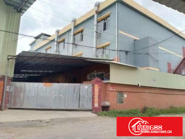 石排新出滴水9米高1000平单一层，厂房形象好！位置靓！