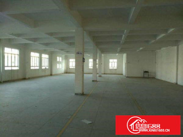 常平卢屋3000平方钢构厂房出租