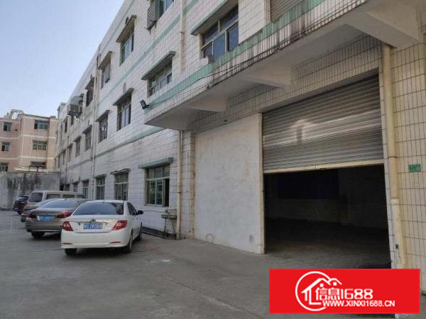 标准厂房一楼带装修出租可分租电费便宜可开票