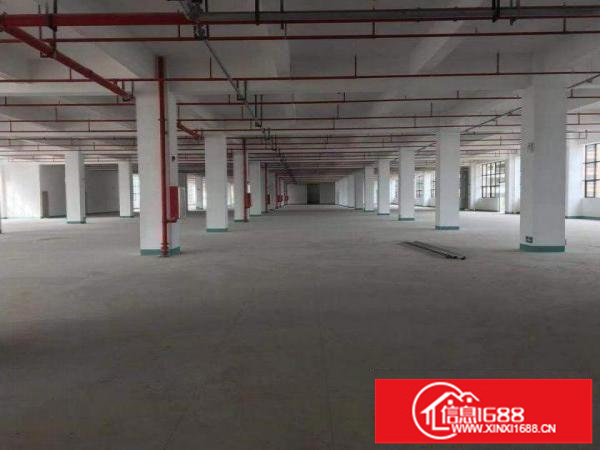 龙岗附近厂房楼上2500平米实际面积可分租