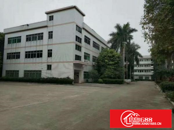 高埗工业区标准一楼1000平方招租配电按需消防水电齐全