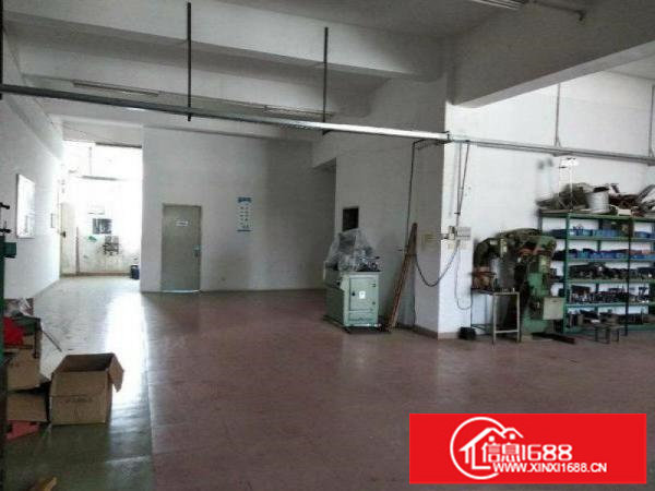 石井新出一楼540平米带装修厂房出租