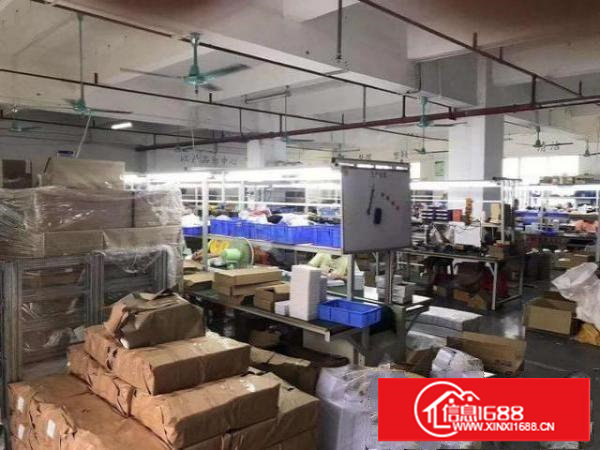 塘厦横塘楼上1600平方厂房出租适合包装电子贸易五金加工