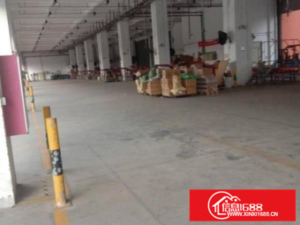 杏坛高新区5000方3层独栋厂房招租