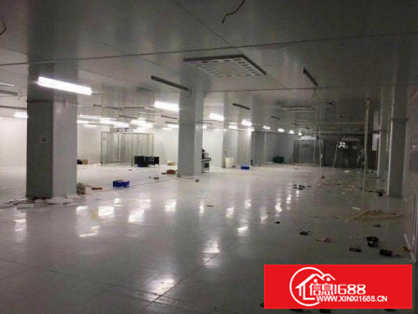惠城区新空出现成装修无尘车间厂房招租
