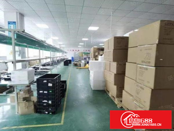 常平原房东独院12000平米标准厂房出租