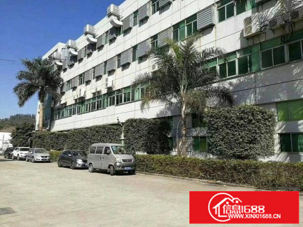 横岗荷坳地铁站1200平带装修厂房出租可分租