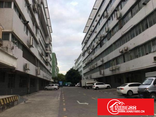 原房东花园式厂房1800平带装修办公室出租