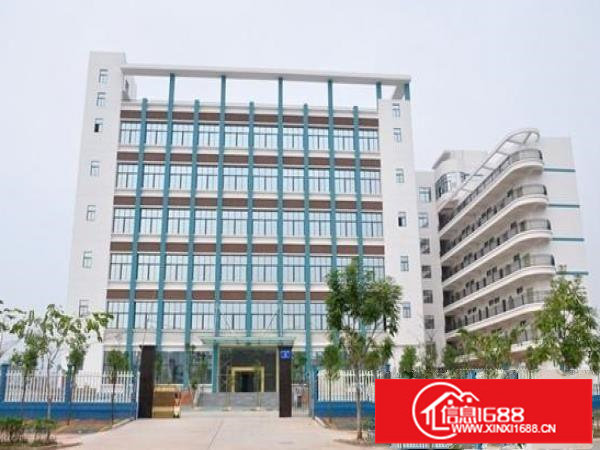 布吉花园式楼上700平带精装修无转让费