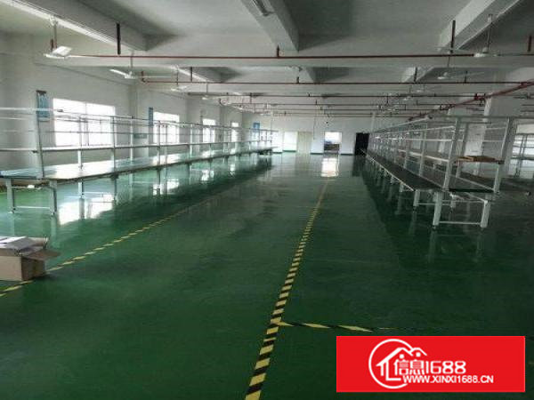 塘厦桥陇近凤岗独院标准3楼1200平方！可做电池，现成装修