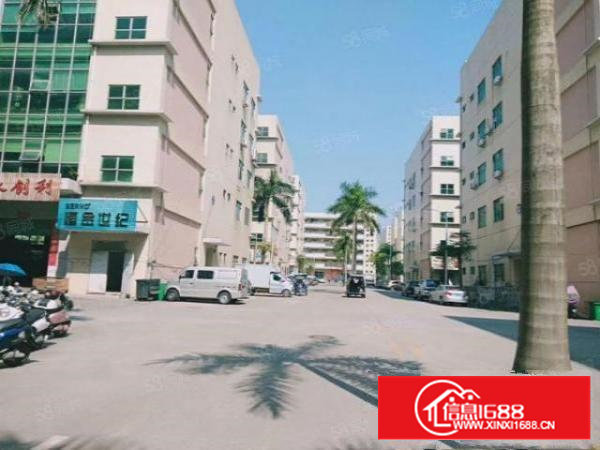 石岩新出原房东整层1500平带装修水电齐全