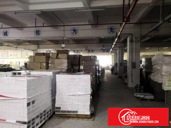 松木山原房东标准厂房一楼900平方米出租