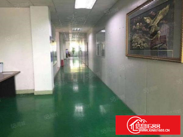 业主直租布心工业区带现成水电办公室6800平米独院厂房可分租