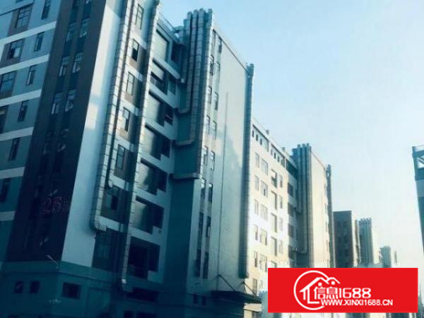 全新厂房，带消防喷淋、全新客货梯