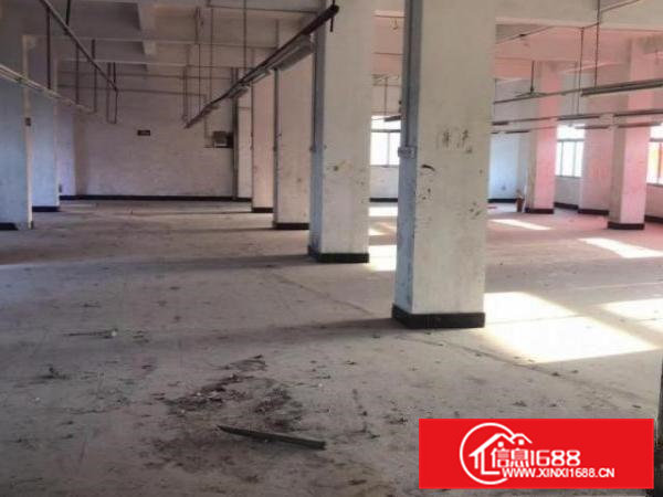 寮步泉塘村石大路三四楼电梯厂房出租