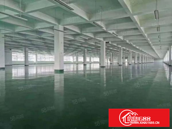 独门独院，乐从工业区17000方标准厂房带办公宿舍楼可办环评