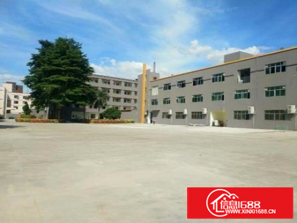 清溪镇三中原房东二楼带装修好办公室地平漆2600平出租