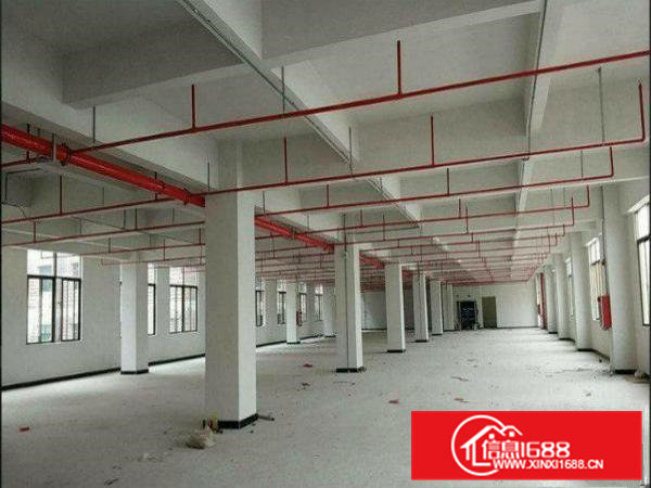 凤岗6.5米高一楼1500厂房出租做塑胶机械五金