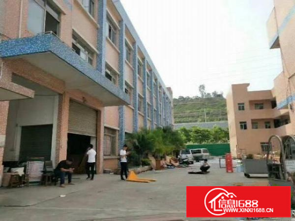 陈江镇近白云山村独院4500方标准厂房出租，可分租