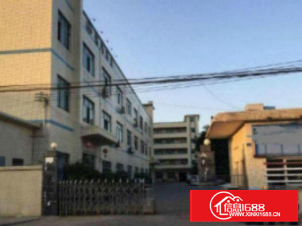 万江工业区标准一楼500平方出租配电按需消防水电齐全，交通方