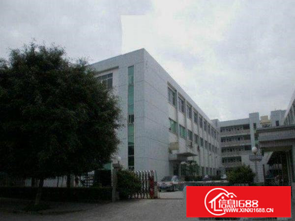 常平还珠沥新出标准小独院3600平厂房招租