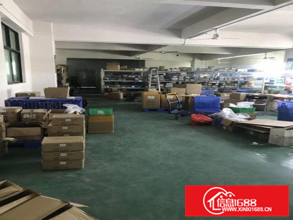 全新厂房，地坪漆完好