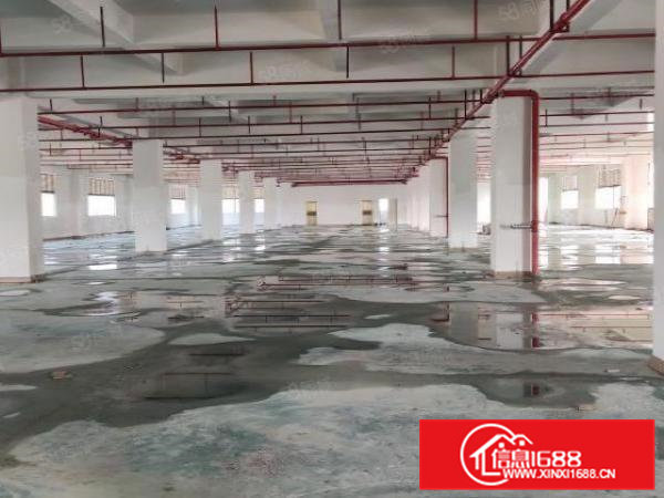 凤岗中心红本厂房仓库出租原房东直租10万平1000平起租