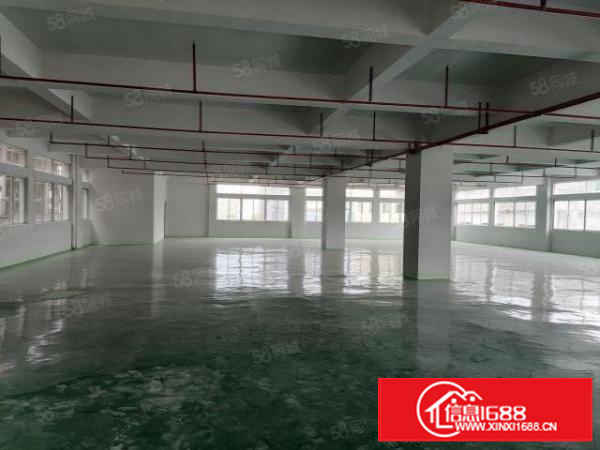 新出工业园1楼分租，可办环评，消防喷淋远离居民区有现成办公室