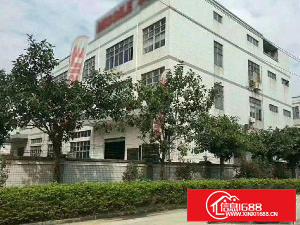 横岗大道旁原房东独院5880平可分租