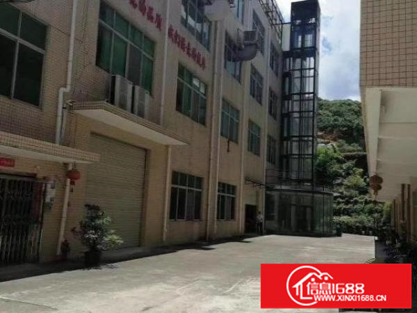 横岗花园式独院厂房适合高新研发、电子、电商贸易、直播网红基地