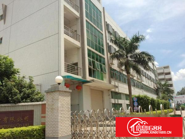 丹竹头业主厂房200~1000平米招租