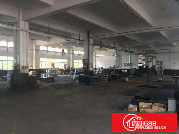 坪山碧岭新出原房东红本厂房高度5.5米的一楼